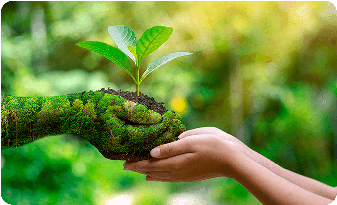 environment-earth-day-hands-trees-growing-seedlings (1)