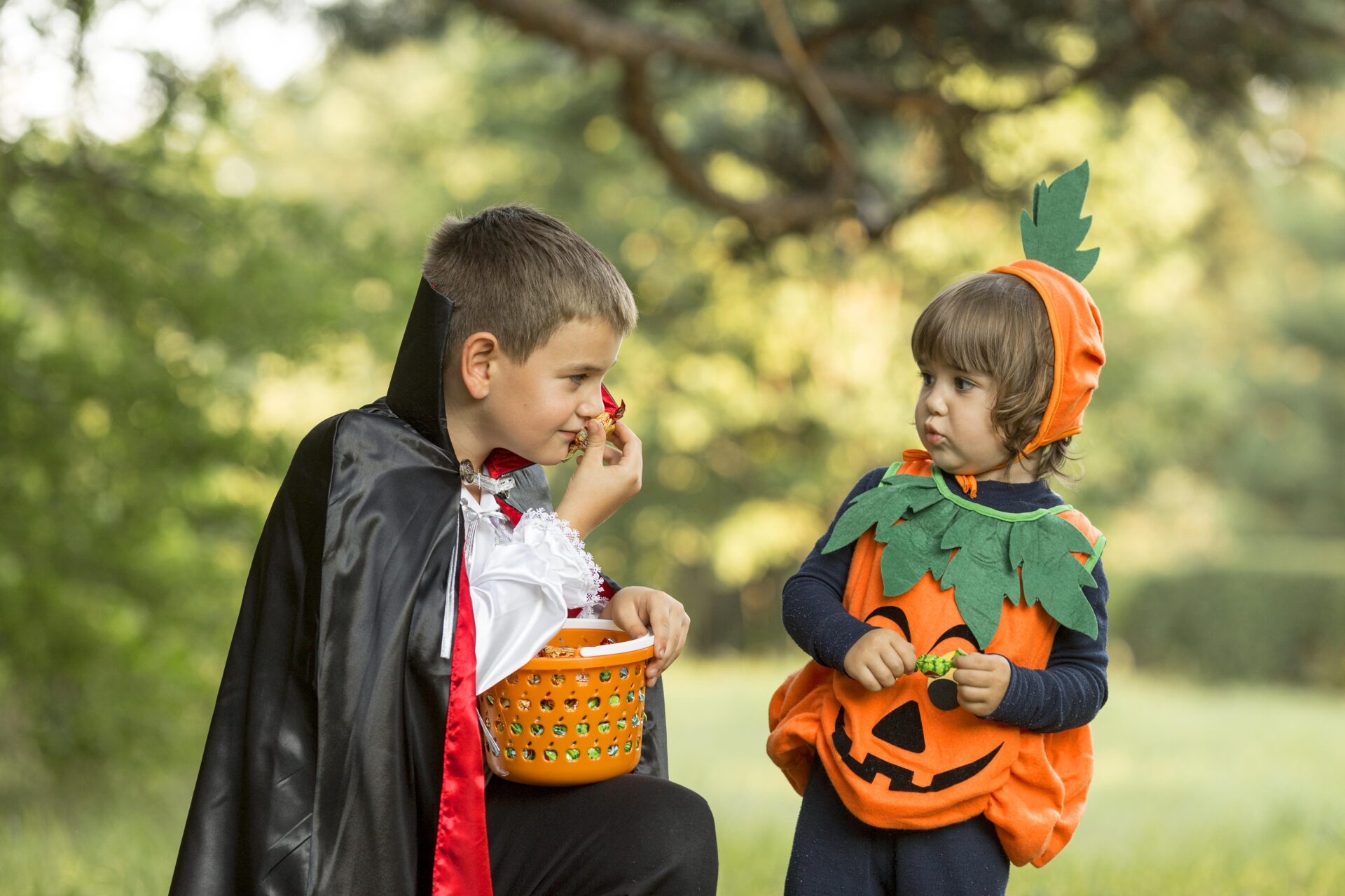 front-view-pumpkin-dracula-halloween-costumes